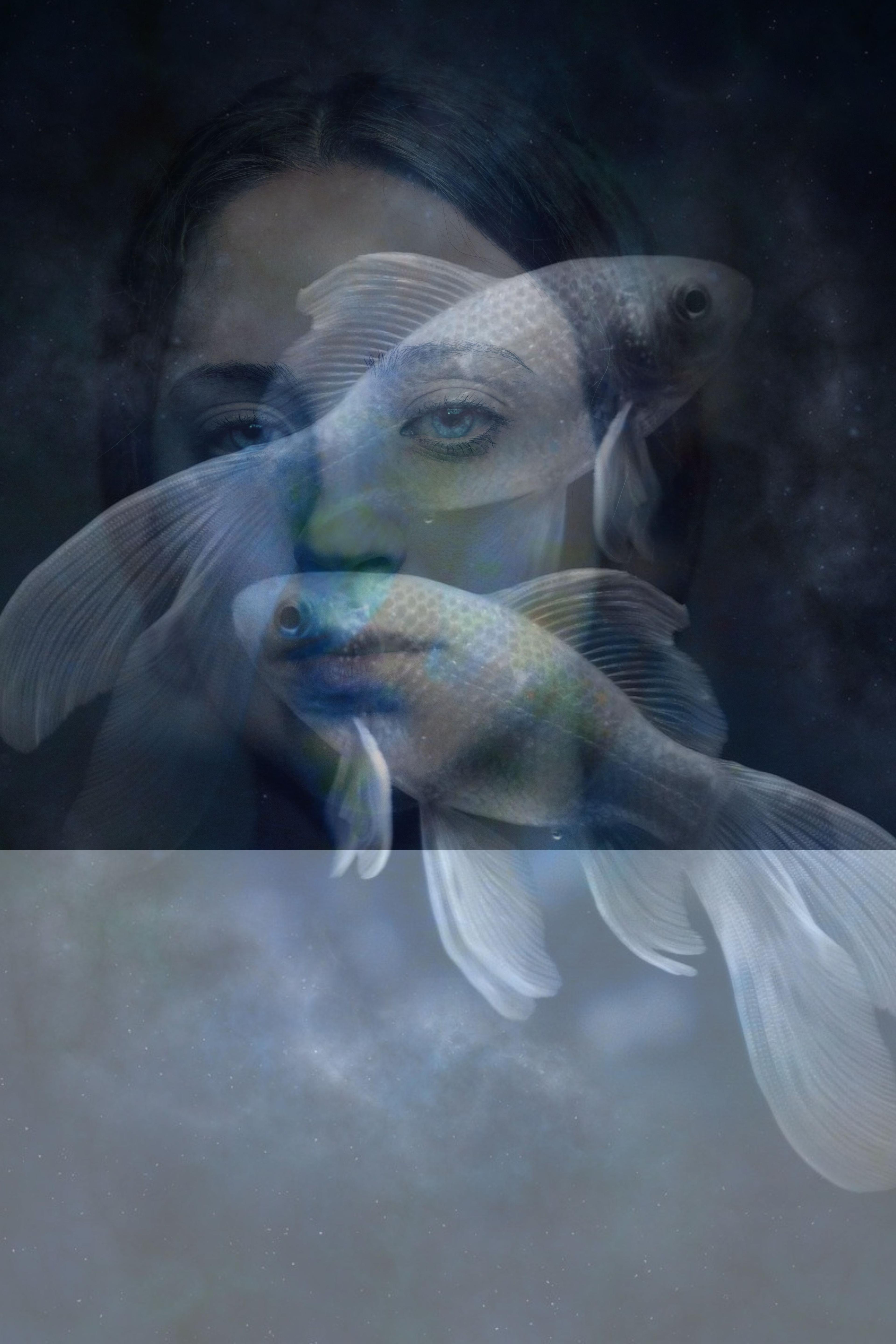 event cover